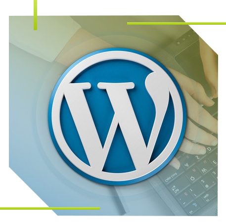 Wordpress Development Services USA